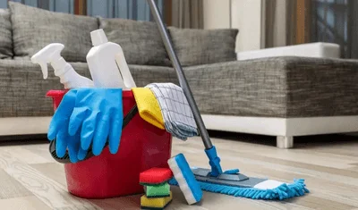 service nettoyage de domicile a lyon 69